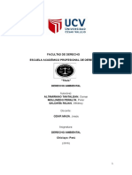 Monografía de Derecho Ambiental