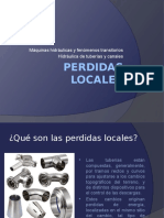 Perdidas Locales