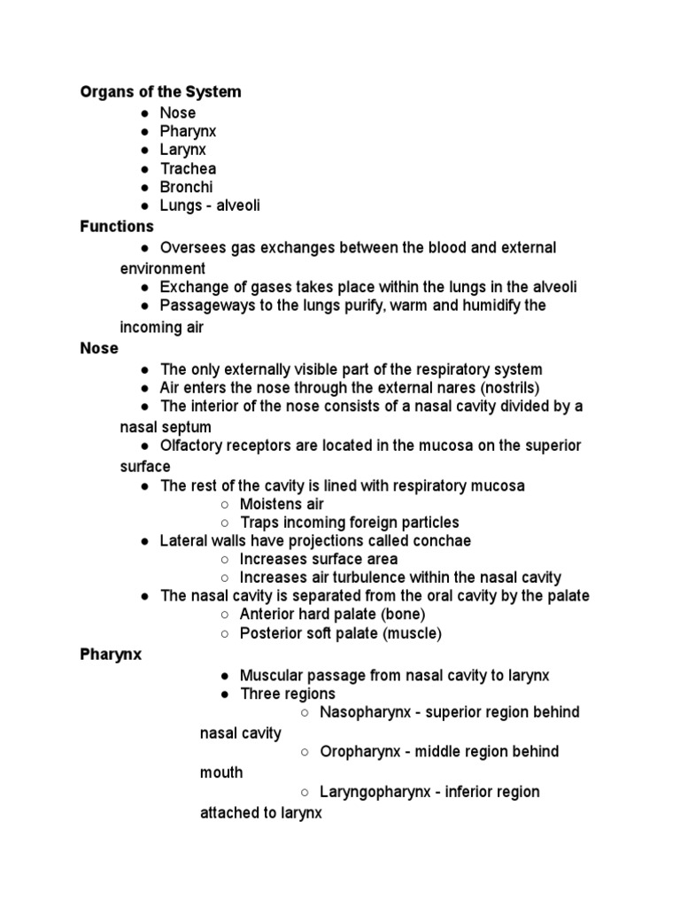 Respiratory System Notes | Lung | Exhalation