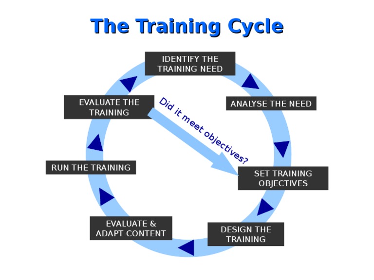166training Cycle | PDF