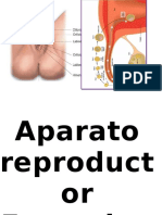 aparato reproductor femenisno