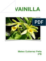 La Vainilla PDF