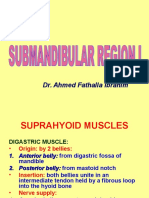 Suprahyoid Muscles and Tongue Extrinsic Muscles