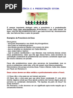 A Presciência e a Predestinação Divina