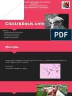 Clostridios