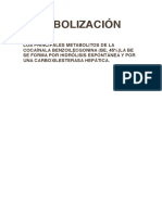 Metabolización de La Cocaína