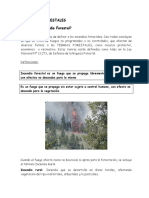 Incendio Forestal