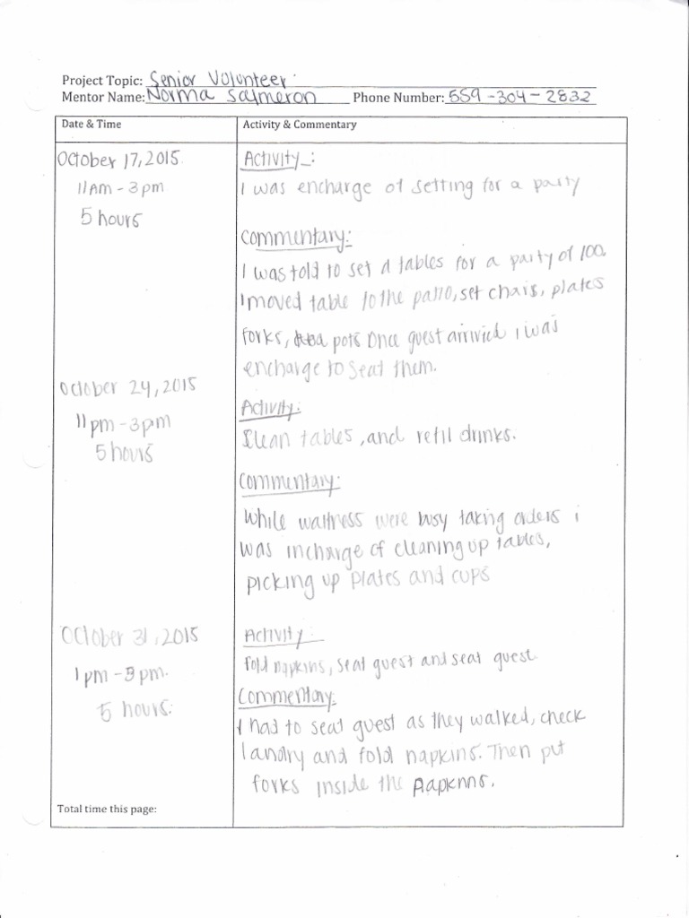 Project Activity Log and Commentary | PDF | Teaching Methods ...