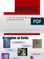 Types of Cells: A Cell Is The Smallest Unit That Is Capable of Performing Life Functions