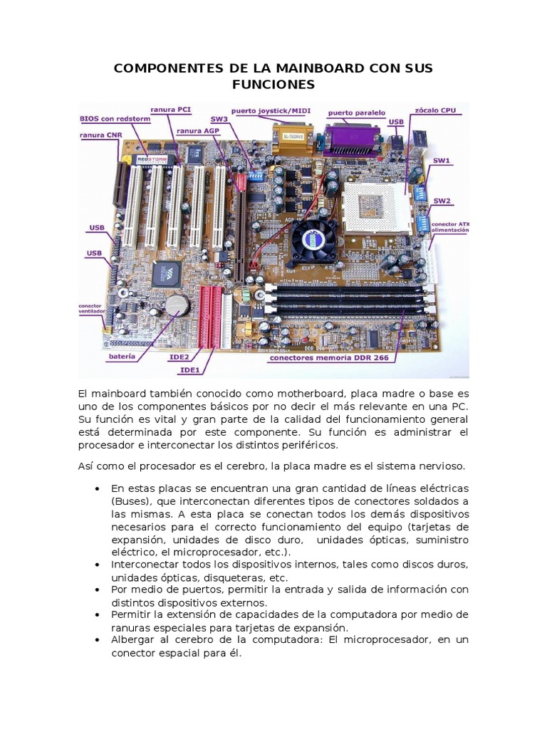 Partes y funciones de la motherboard | PDF | Periférico | Hdmi
