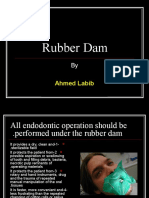 Rubber Dam: Ahmed Labib