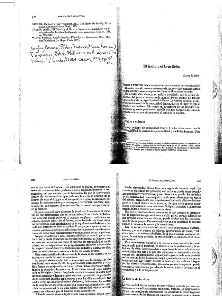 Darcy Riberio - El Indio y El Brasileño | PDF