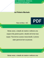 Aula 5 Equipes Hierarquia Gerencia Liderancia e Motivacao