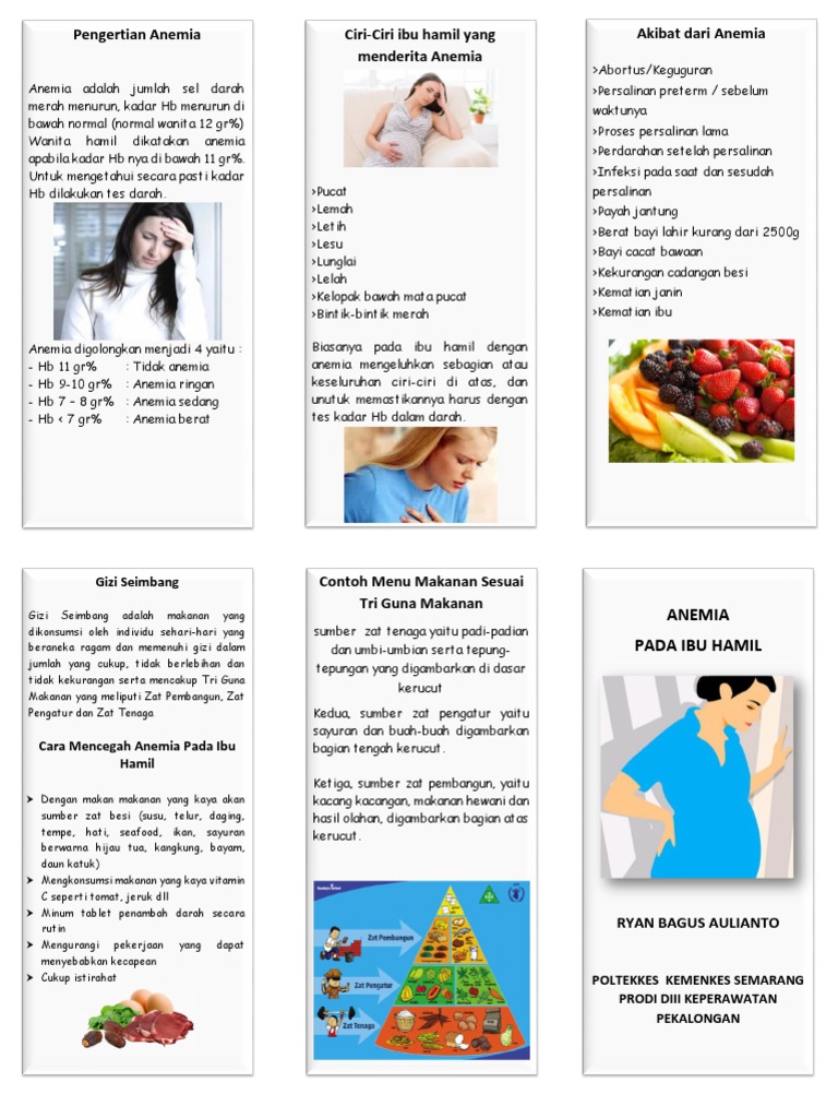 Contoh Menu Makanan Untuk Ibu Hamil Dengan Anemia Temukan Contoh