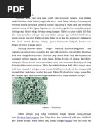 Download RHIZOBIUM by Maya Hesty Wulandary SN307386012 doc pdf