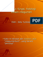 Struktur Fun: Struktur - Fungsi - Histologi - Sistem - Integumen - Pptgsi Histologi Sistem Integumen