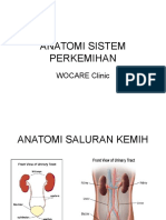 Anatomi Sistem Perkemihan: WOCARE Clinic