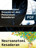 NEUROANATOMY