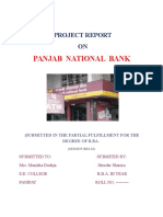 Panjab National Bank: Project Report ON