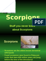 Scorpions: Stuff You Never Knew About Scorpions