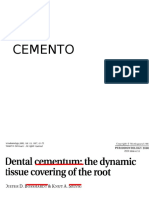 Cementogenesis