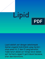 lipid biosintesa
