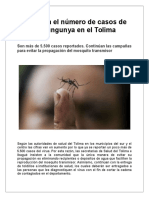 Aumenta El Número de Casos de Chikungunya en El Tolima