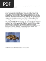 Download bioper tugasdocx by stella SN307414350 doc pdf