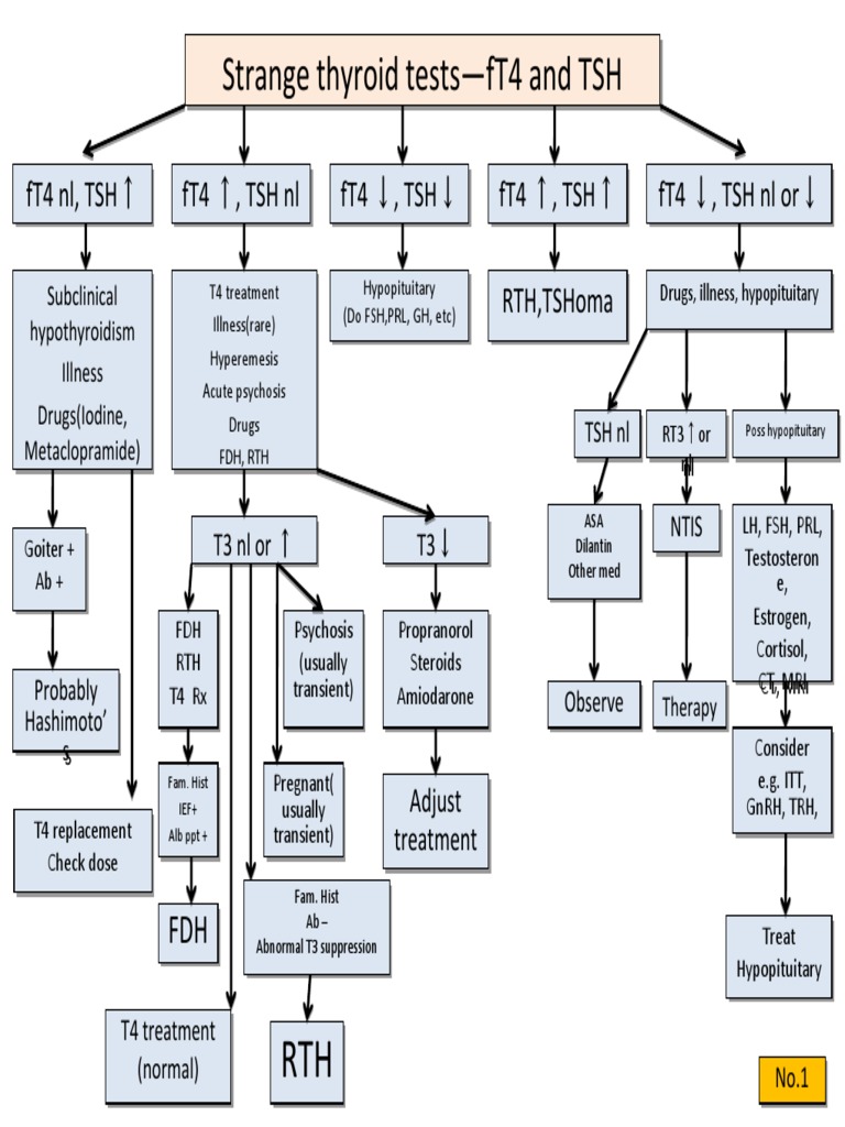 Thyroid Algorithms | Thyroid Stimulating Hormone | Hyperthyroidism