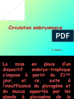 Circulation Embryonnaire
