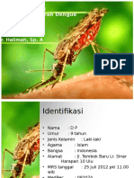 dokumen.tips_laporan-kasus-dbd-ppt.pptx