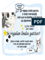 Gatito S Gratis