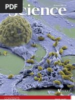 Download Science Magazine 23 January 2009 by Milton Grover SN30745125 doc pdf