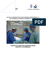 Manual  de practicas de cirugía veternaria
