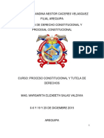 Proceso Constitucional y Tutela de Derechos Margarita