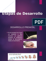 Etapas de Desarrollo