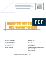 Rapport GRH PDF