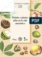 Frutos Amazonia