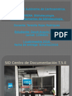 Presentación SID CD TSE (1)