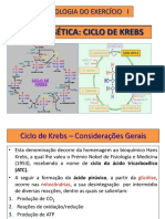 Aula 4 Estudo Da Bioenergetica Ciclo de Krebs PDF