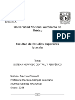 Interrogatorio en Sistema Nervioso e Inspección General en SN. PC II