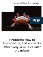 4 - Circulation and Gas Exchange