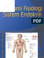 Anatomi Fisiologi Sistem Endokrin