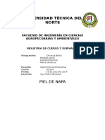 Informe Napa