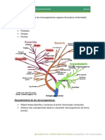 Estructuras Bacterianas