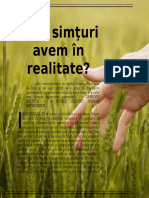 Câte Simţuri Avem În Realitate