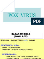 pox virus