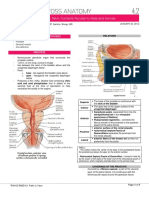 Pelvic Contents Peculiar to Males and Females - Wong.pdf