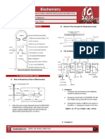 Respiratory Chain & Oxidative Phosporylation; Kreb's Cycle - Menorca