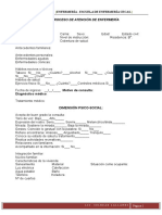 Guía Proceso de Atención de Enfermería